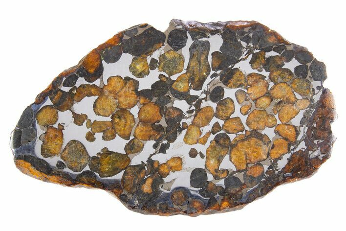 Polished Sericho Pallasite Meteorite ( g) Slice - Kenya #300770